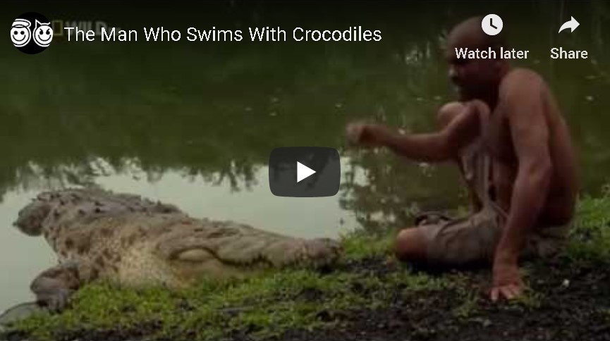 Crocodile man